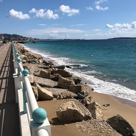 Orion Cannes