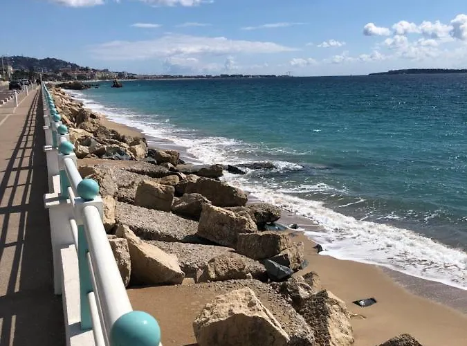 Orion Cannes
